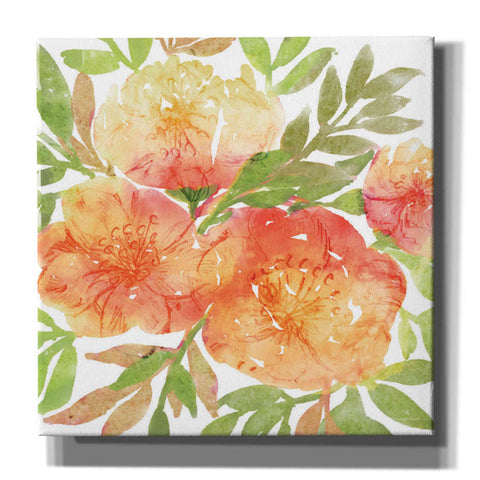 Image of 'Peachy Floral III' by Bluebird Barn, Canvas Wall Art
