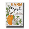 'Farm Fresh Pumpkins' by Cindy Jacobs, Canvas Wall Art