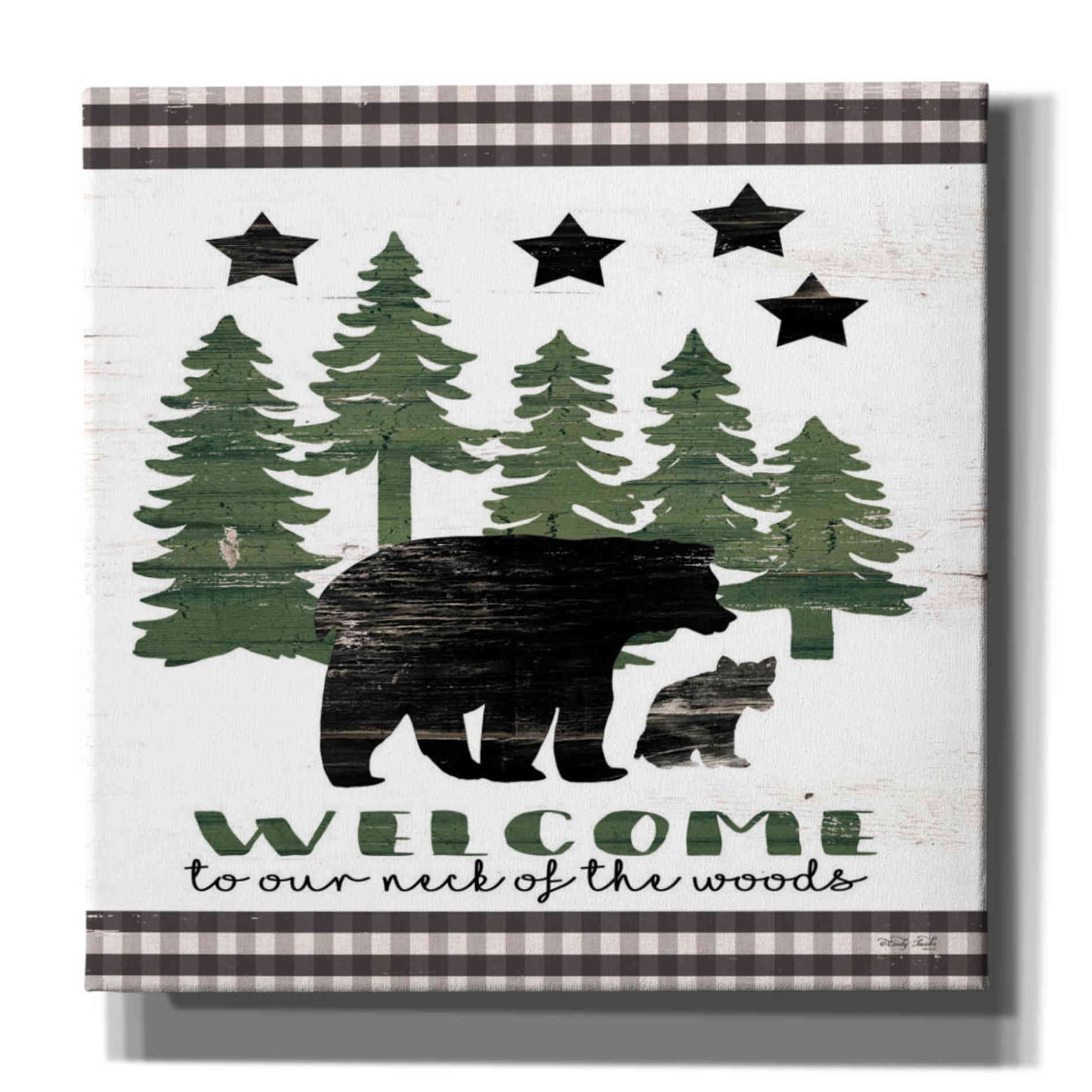 'Welcome Lodge' by Cindy Jacobs, Canvas Wall Art