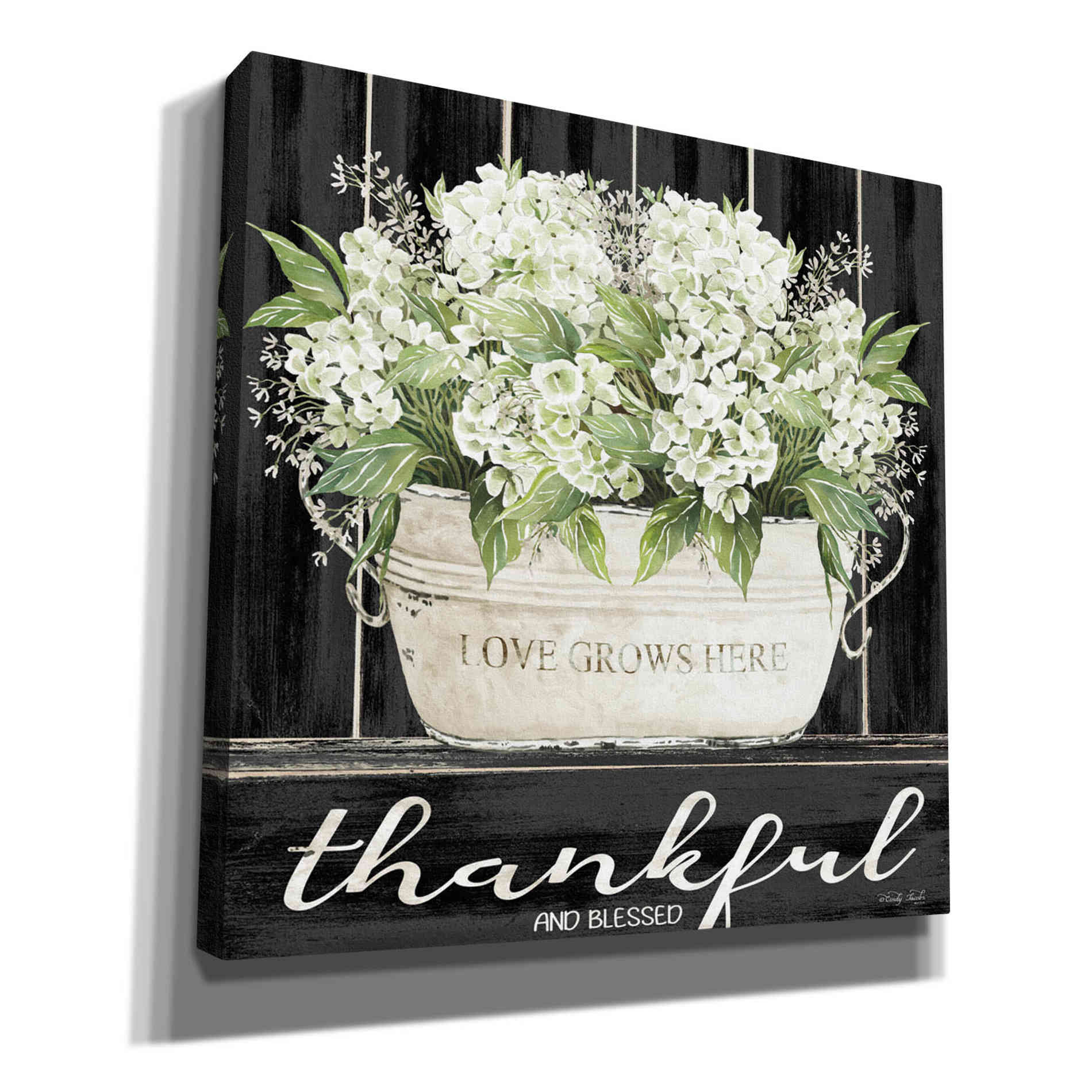 'Thankful & Blessed' by Cindy Jacobs, Canvas Wall Art