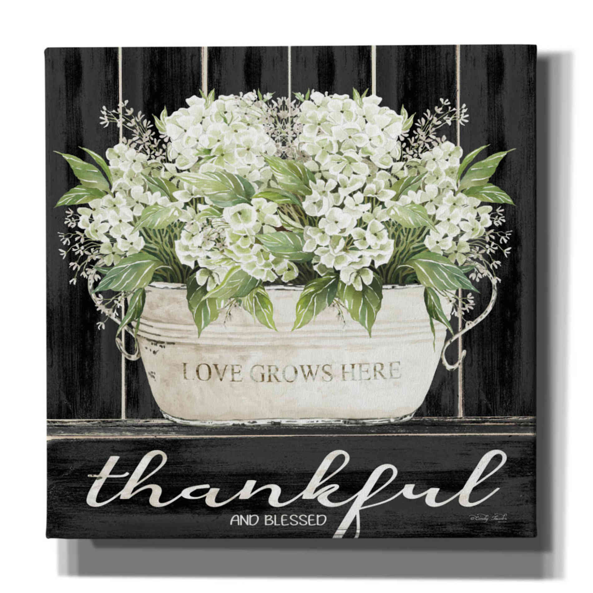 'Thankful & Blessed' by Cindy Jacobs, Canvas Wall Art