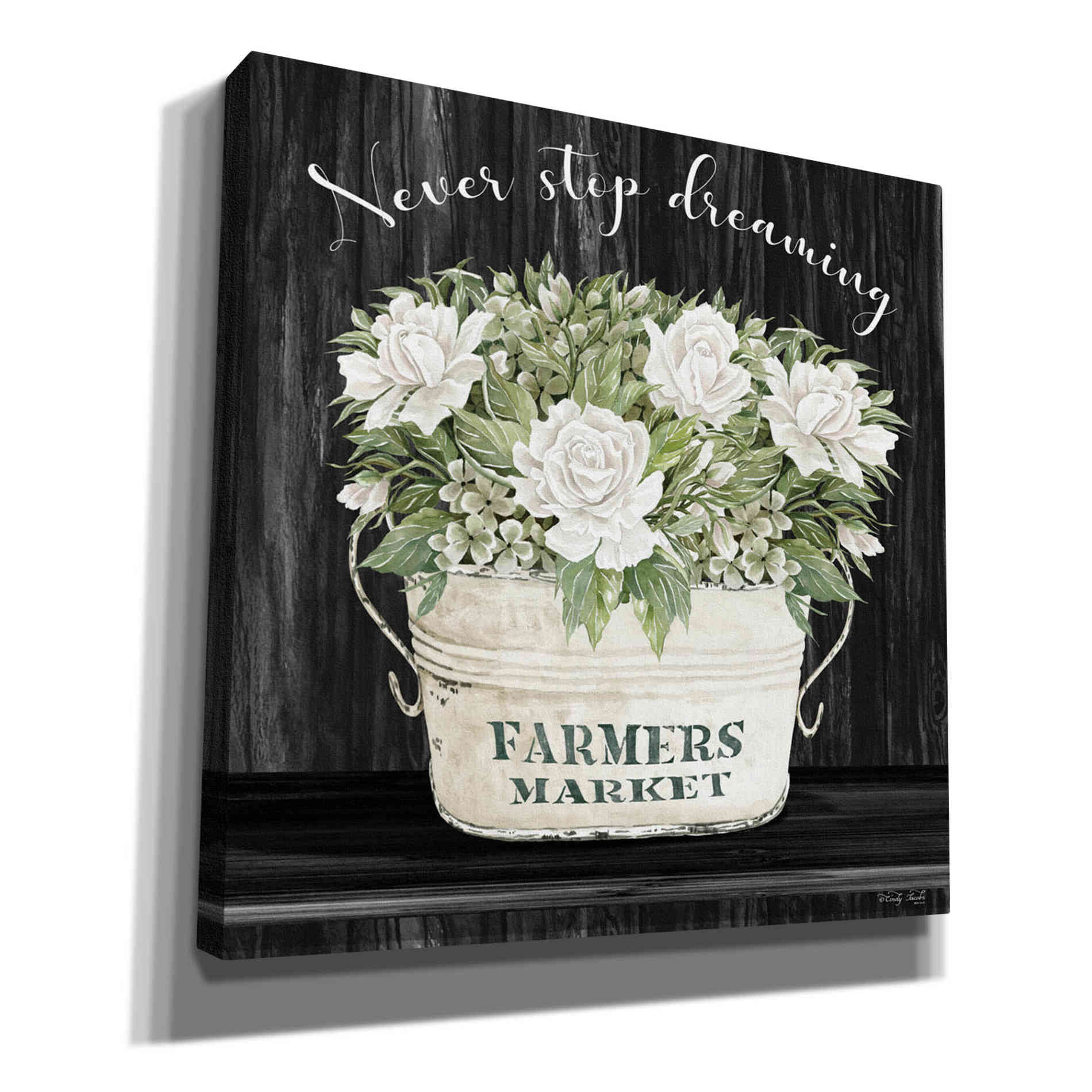 'Never Stop Dreaming' by Cindy Jacobs, Canvas Wall Art