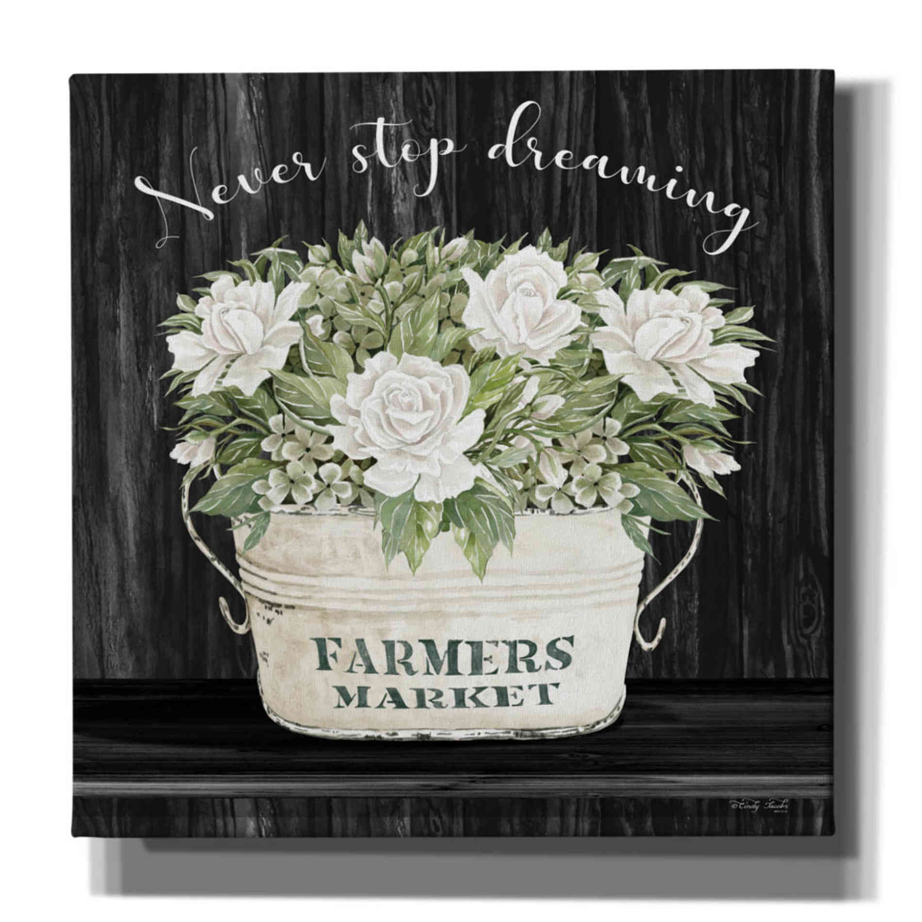 'Never Stop Dreaming' by Cindy Jacobs, Canvas Wall Art