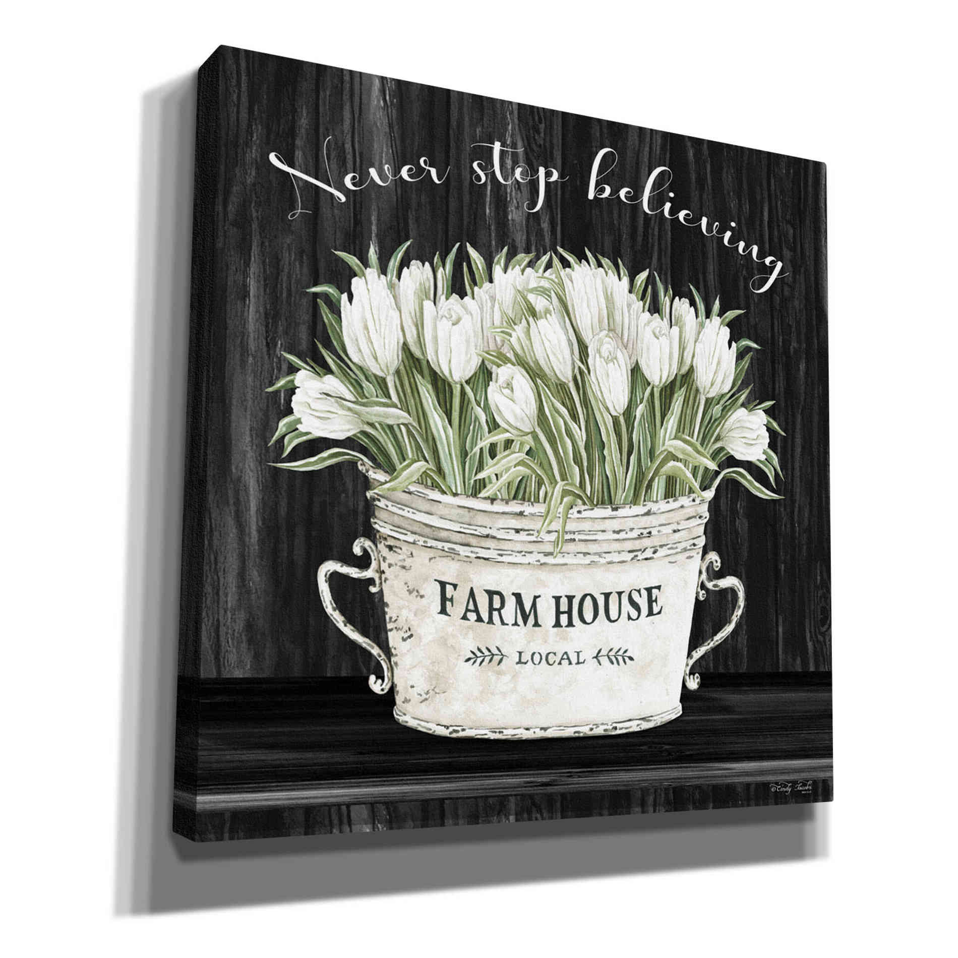 'Never Stop Believing' by Cindy Jacobs, Canvas Wall Art