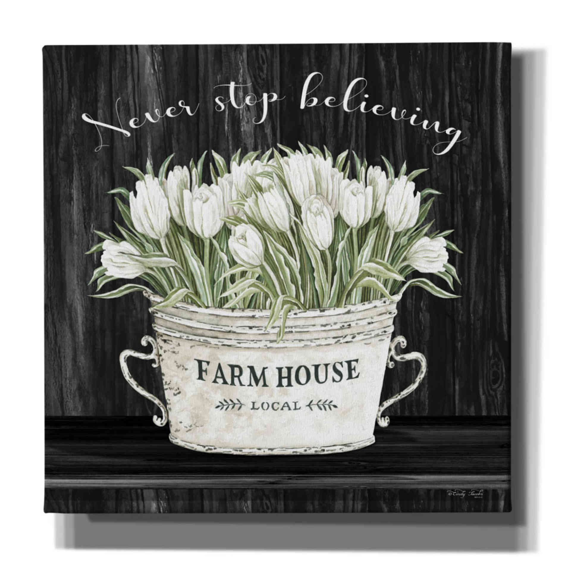 'Never Stop Believing' by Cindy Jacobs, Canvas Wall Art