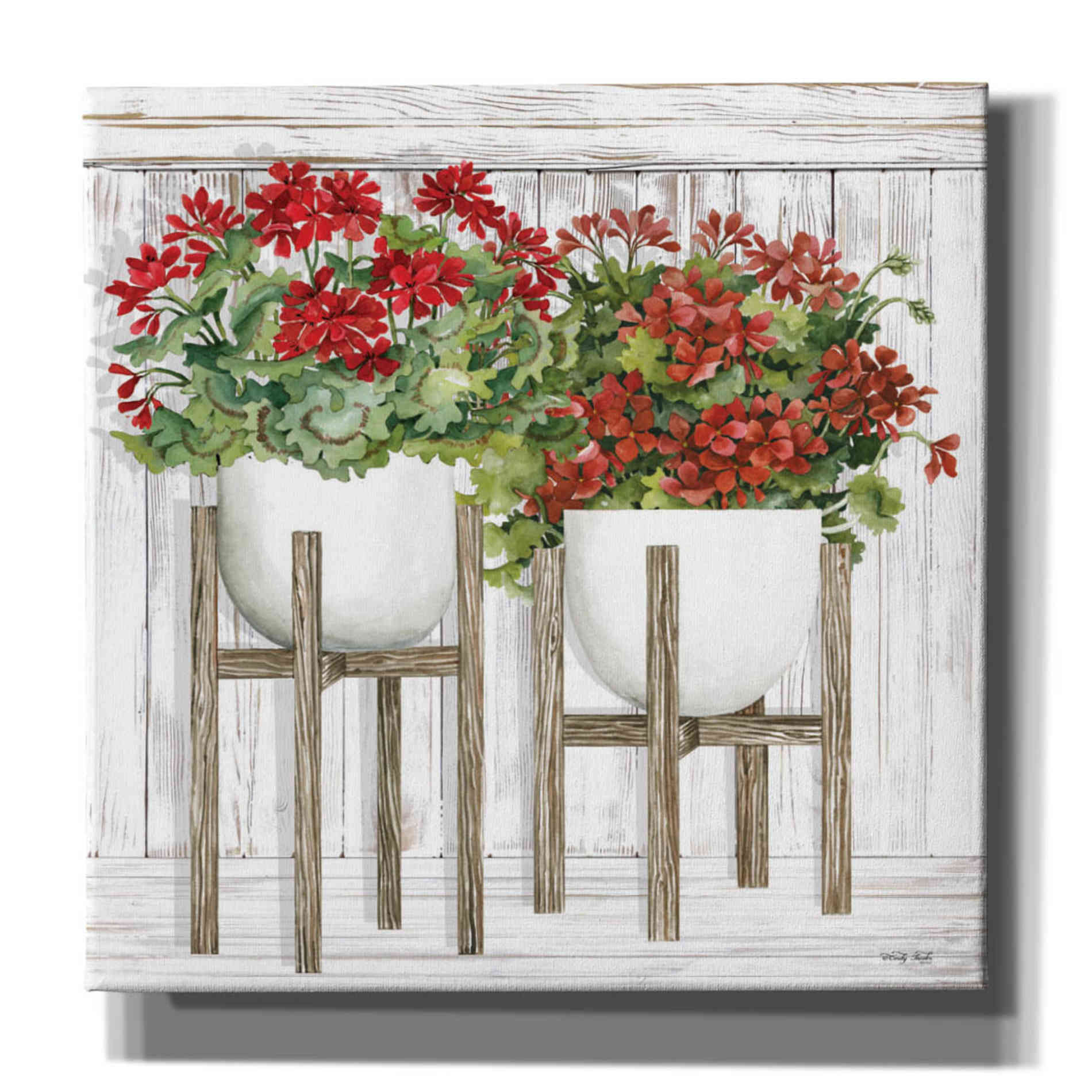 'Red Geraniums' by Cindy Jacobs, Canvas Wall Art