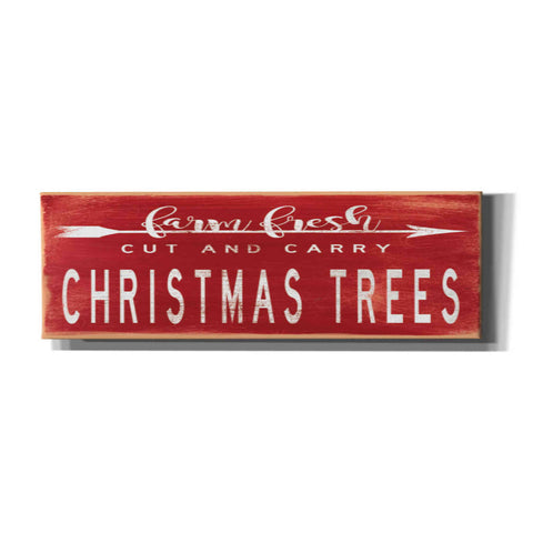 Image of 'Christmas Trees Sign' by Cindy Jacobs, Canvas Wall Art