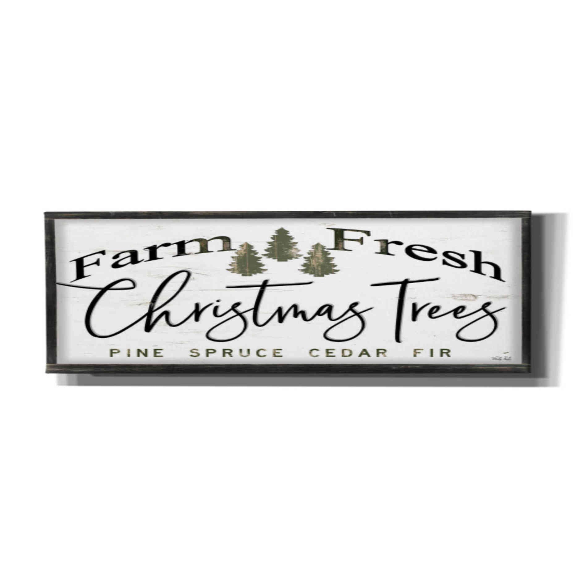 'Farm Fresh Christmas Trees III' by Cindy Jacobs, Canvas Wall Art