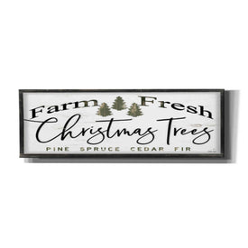 'Farm Fresh Christmas Trees III' by Cindy Jacobs, Canvas Wall Art