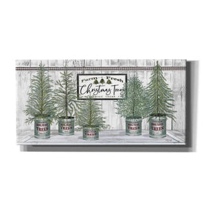 'Galvanized Pots White Christmas Trees II' by Cindy Jacobs, Canvas Wall Art