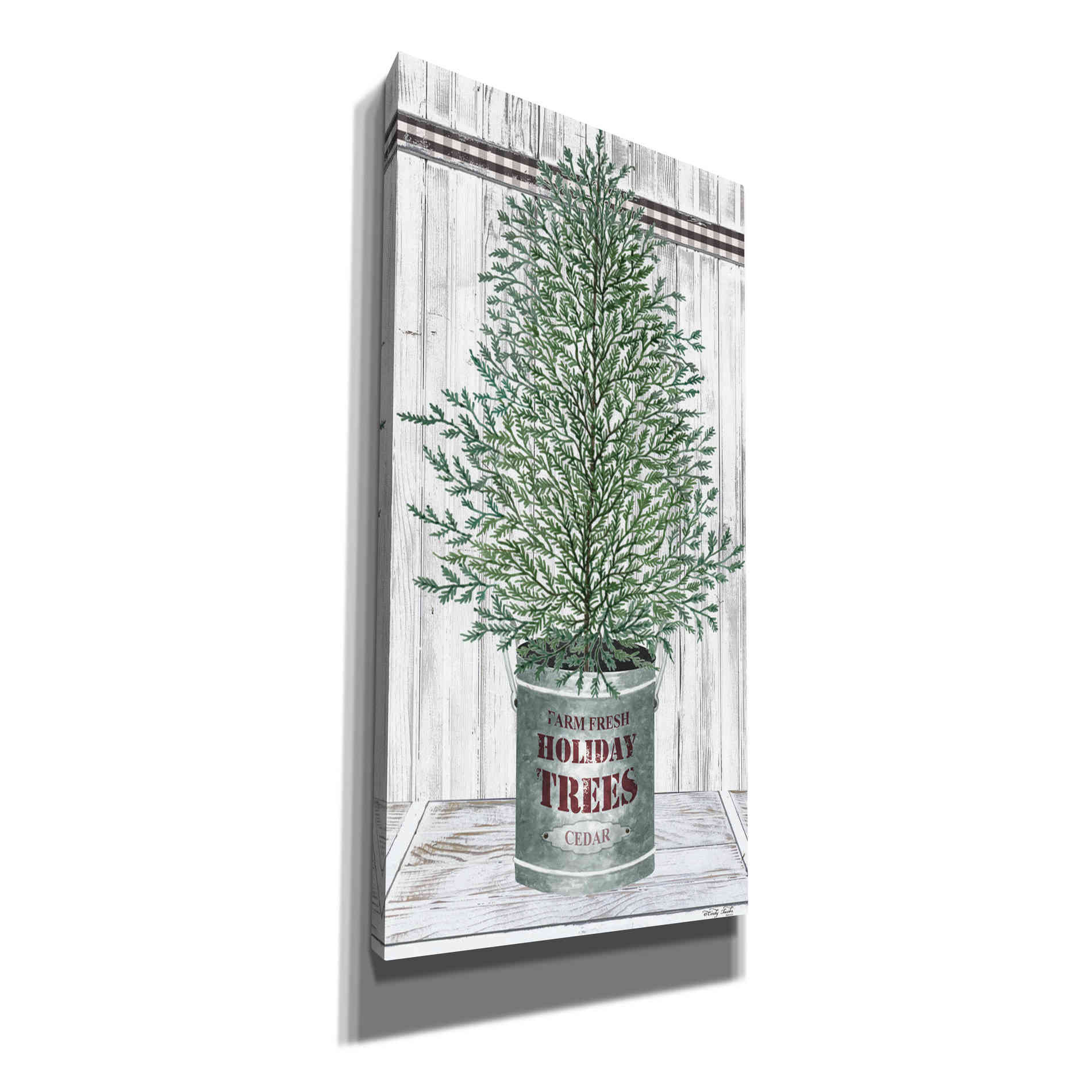'Galvanized Pot Cedar' by Cindy Jacobs, Canvas Wall Art