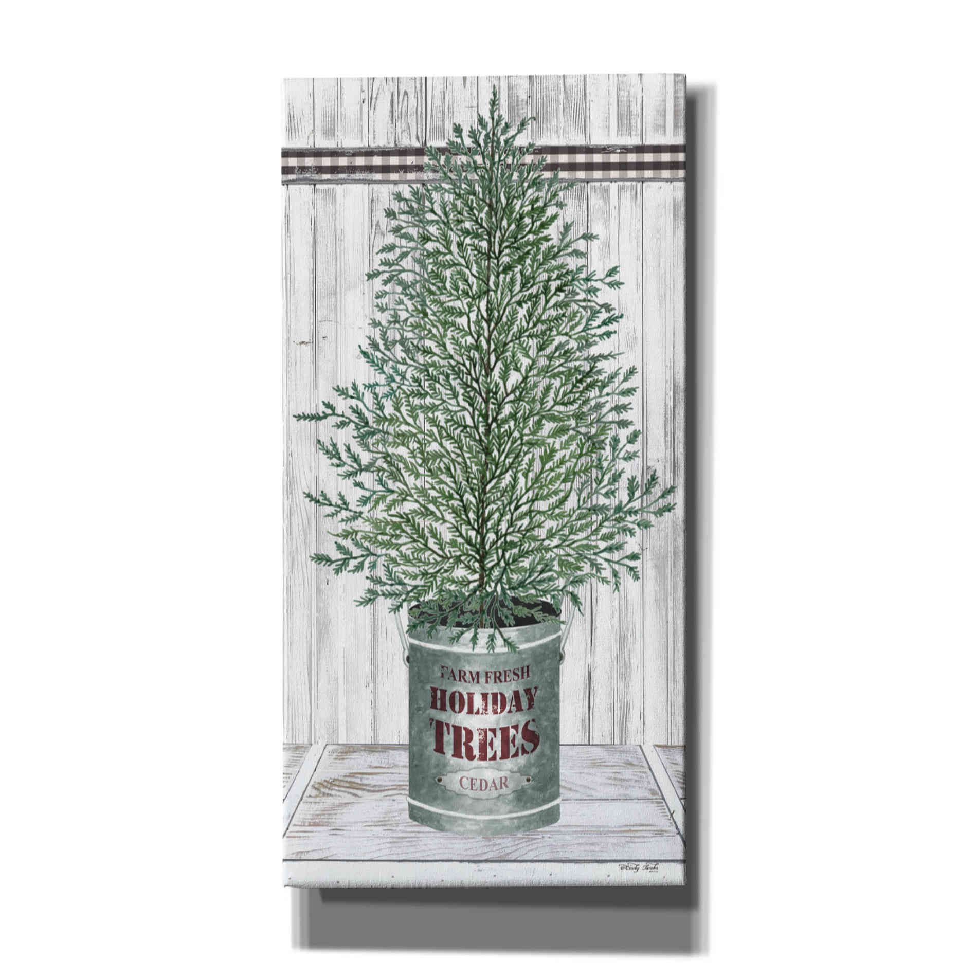 'Galvanized Pot Cedar' by Cindy Jacobs, Canvas Wall Art