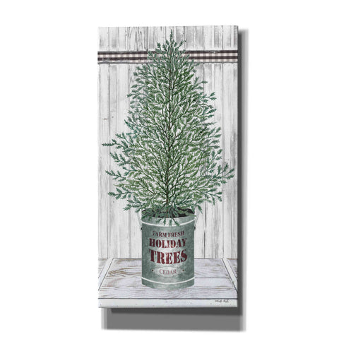 Image of 'Galvanized Pot Cedar' by Cindy Jacobs, Canvas Wall Art