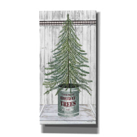 'Galvanized Pot Fir' by Cindy Jacobs, Canvas Wall Art