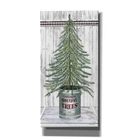 Image of 'Galvanized Pot Fir' by Cindy Jacobs, Canvas Wall Art