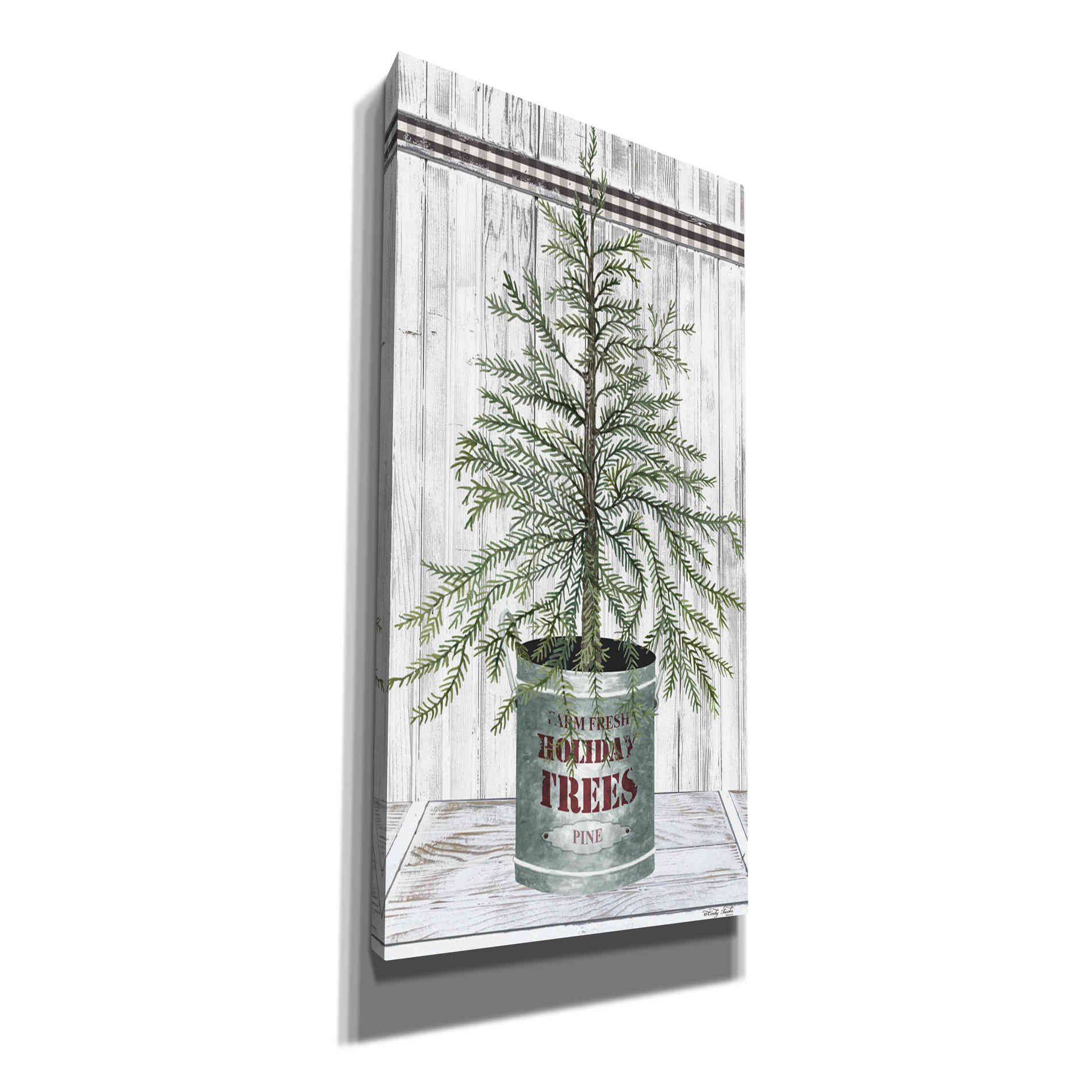 'Galvanized Pot Pine' by Cindy Jacobs, Canvas Wall Art