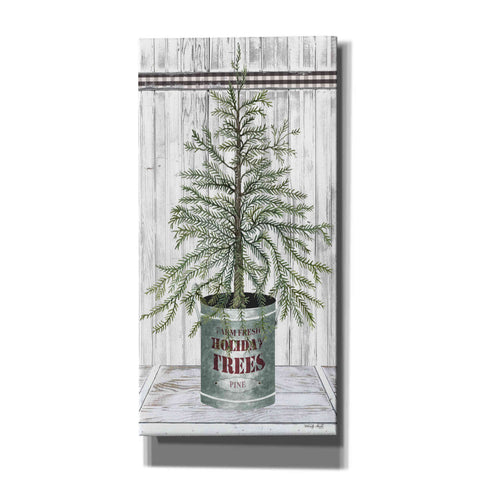 Image of 'Galvanized Pot Pine' by Cindy Jacobs, Canvas Wall Art