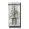 'Galvanized Pot Pine' by Cindy Jacobs, Canvas Wall Art
