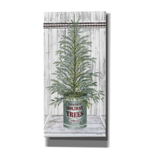 'Galvanized Pot Spruce' by Cindy Jacobs, Canvas Wall Art
