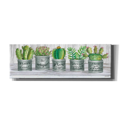 Image of 'Galvanized Pot Succulents I' by Cindy Jacobs, Canvas Wall Art