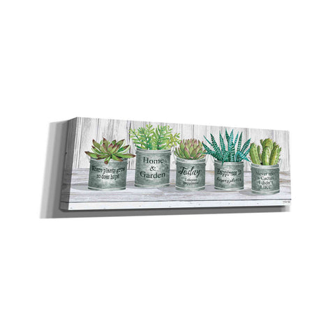 Image of 'Galvanized Pot Succulents II' by Cindy Jacobs, Canvas Wall Art