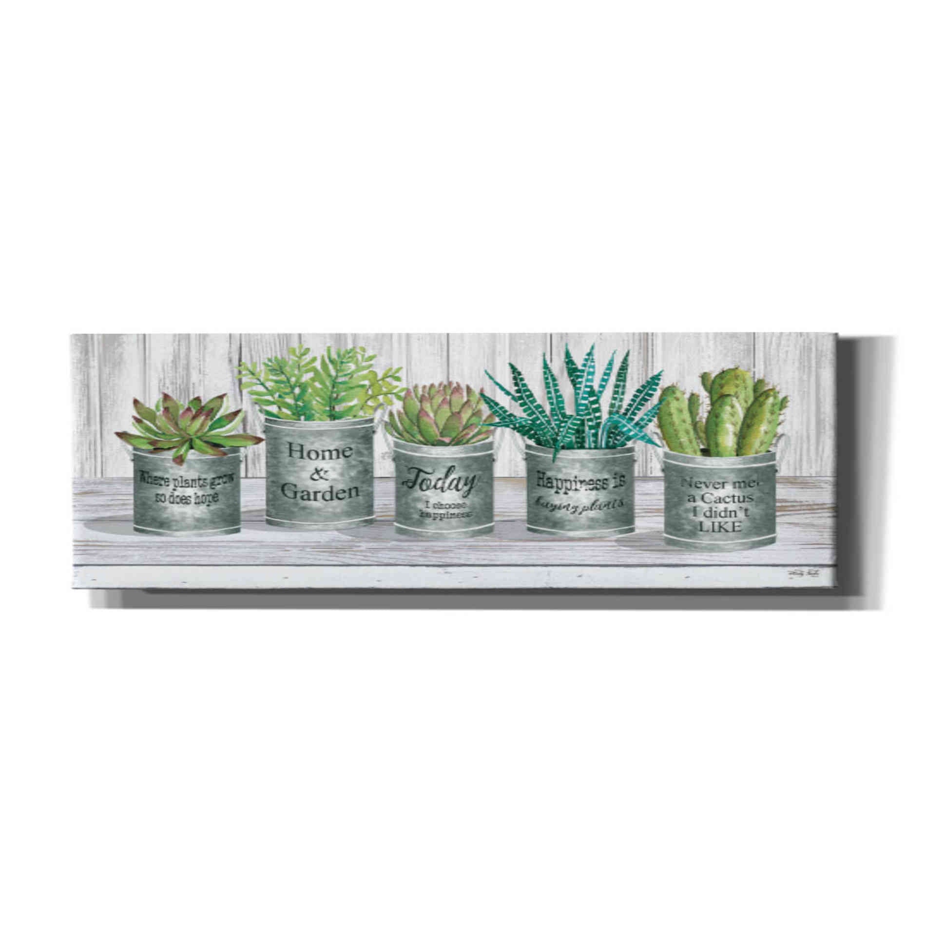 'Galvanized Pot Succulents II' by Cindy Jacobs, Canvas Wall Art