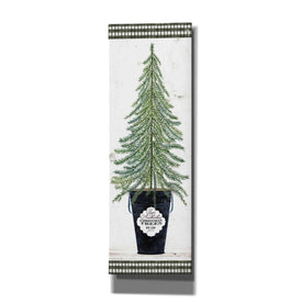 'Fir Tree' by Cindy Jacobs, Canvas Wall Art