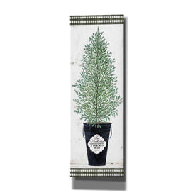 'Cedar Tree' by Cindy Jacobs, Canvas Wall Art