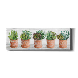 'Terracotta Pots II' by Cindy Jacobs, Canvas Wall Art