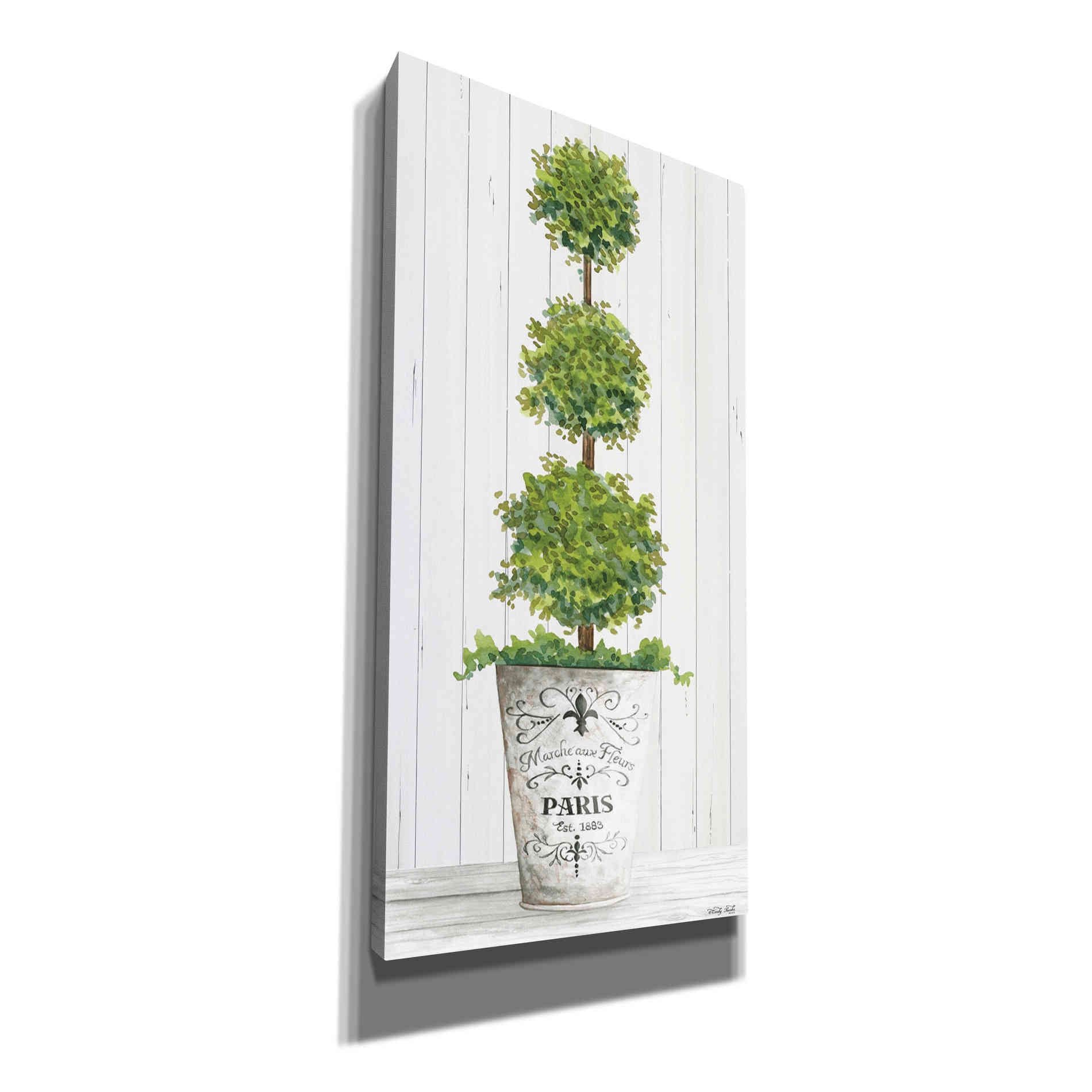 'Topiary Paris' by Cindy Jacobs, Canvas Wall Art