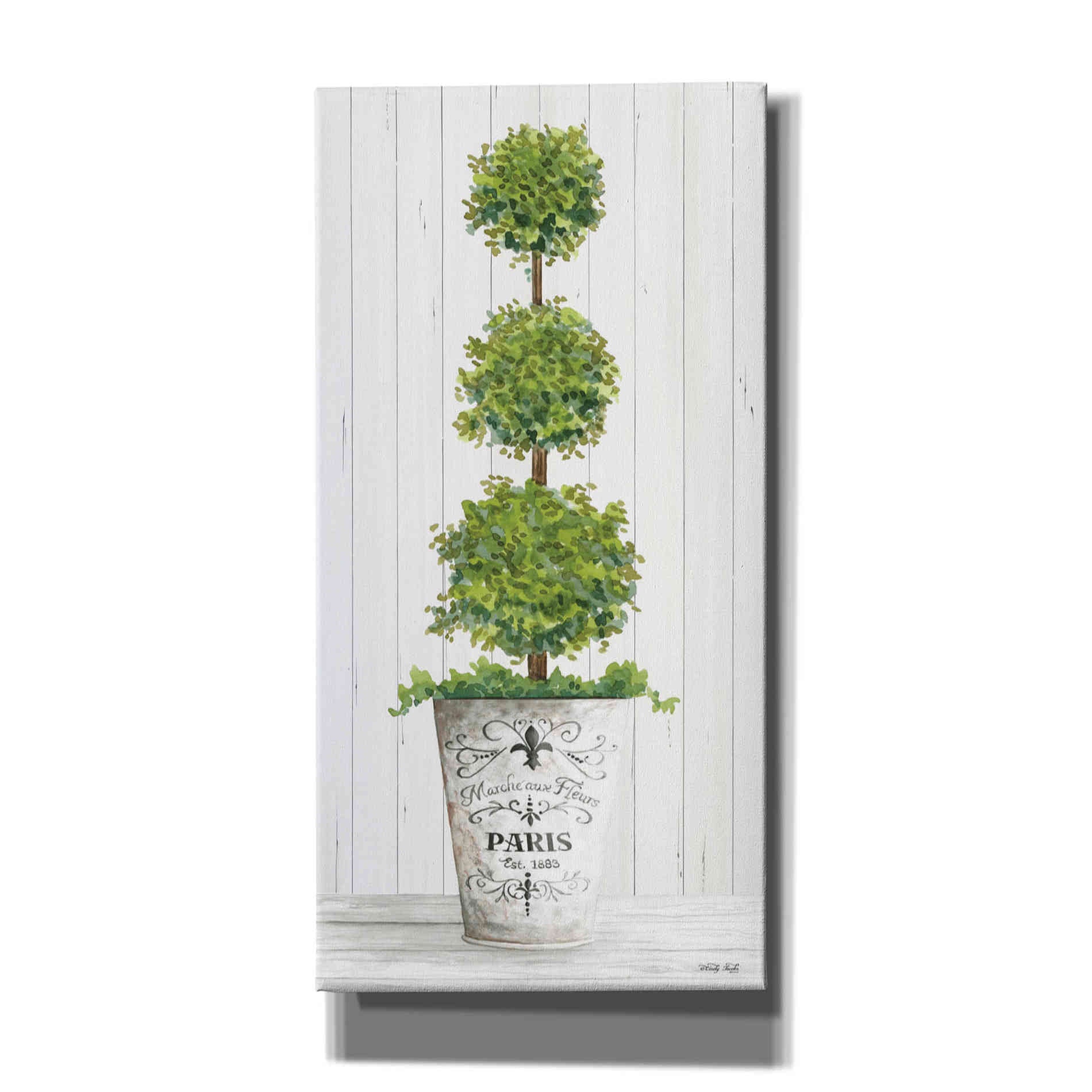 'Topiary Paris' by Cindy Jacobs, Canvas Wall Art