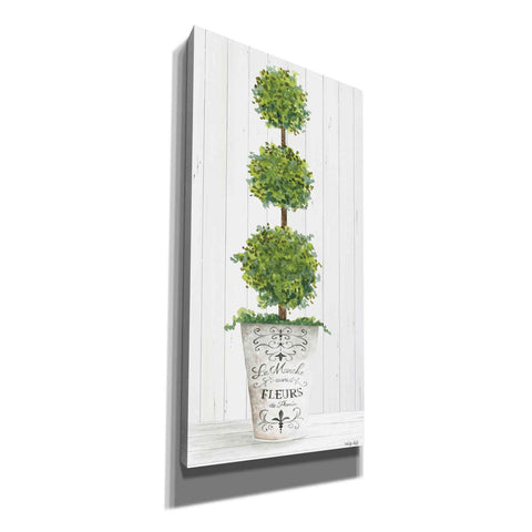 Image of 'Magnificent Topiary I' by Cindy Jacobs, Canvas Wall Art