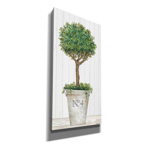 Image of 'Magnificent Topiary II' by Cindy Jacobs, Canvas Wall Art