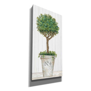 'Magnificent Topiary II' by Cindy Jacobs, Canvas Wall Art