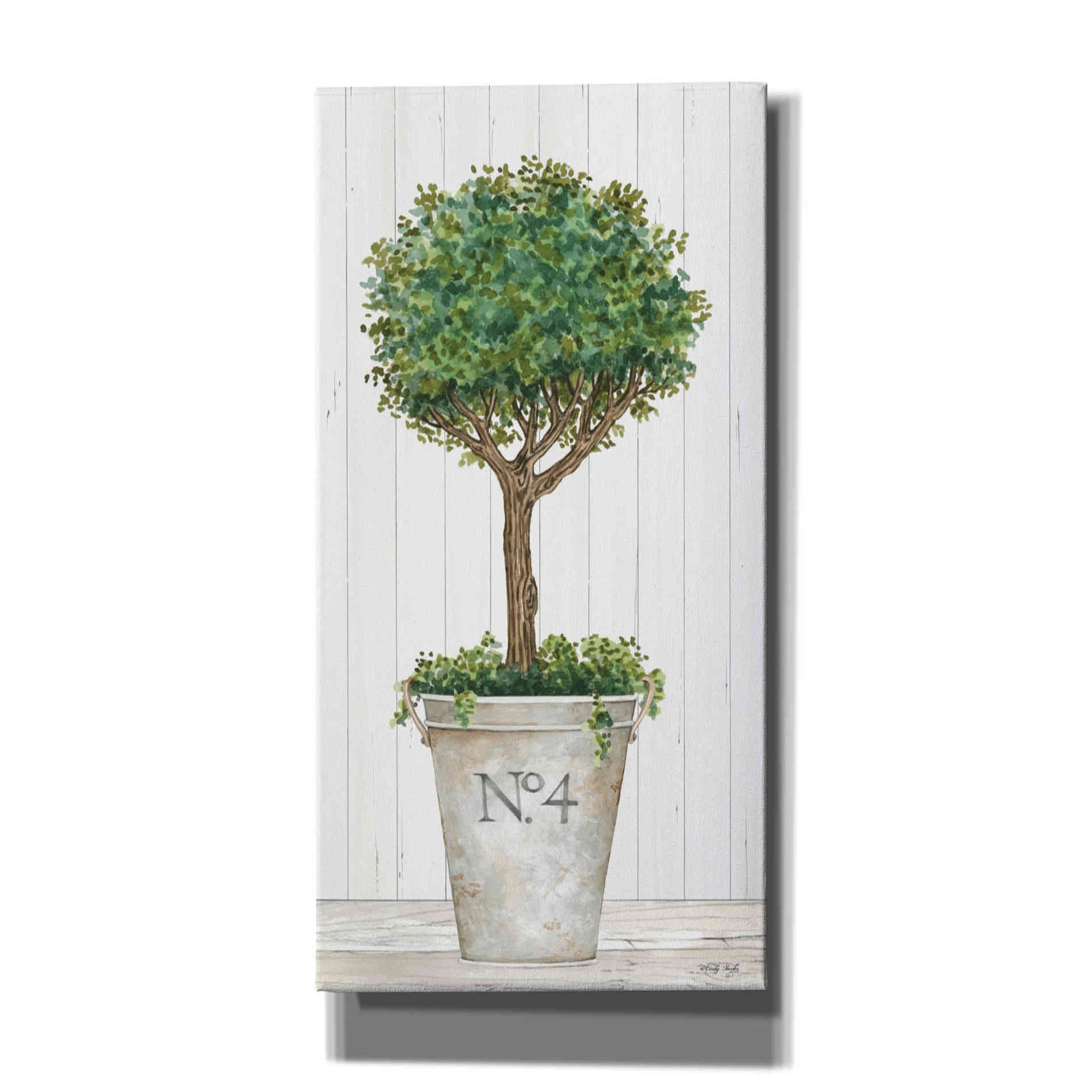 'Magnificent Topiary II' by Cindy Jacobs, Canvas Wall Art