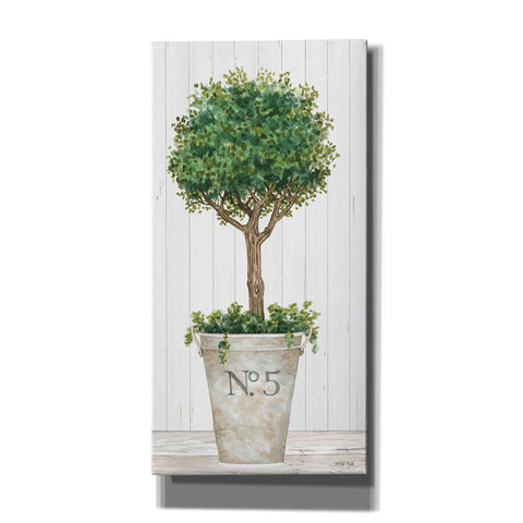 Image of 'Magnificent Topiary III' by Cindy Jacobs, Canvas Wall Art