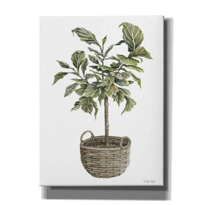 'Fig Tree I' by Cindy Jacobs, Canvas Wall Art