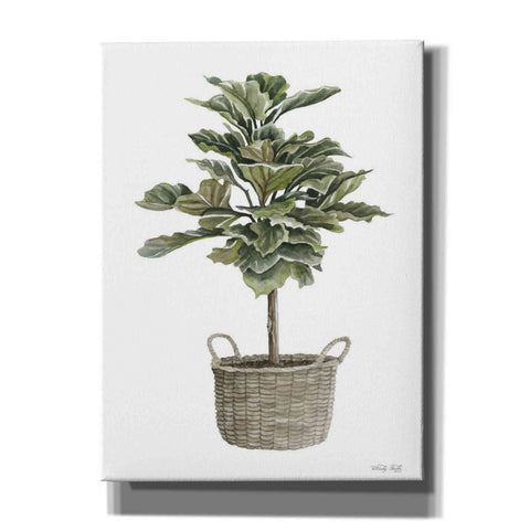 Image of 'Fig Tree II' by Cindy Jacobs, Canvas Wall Art
