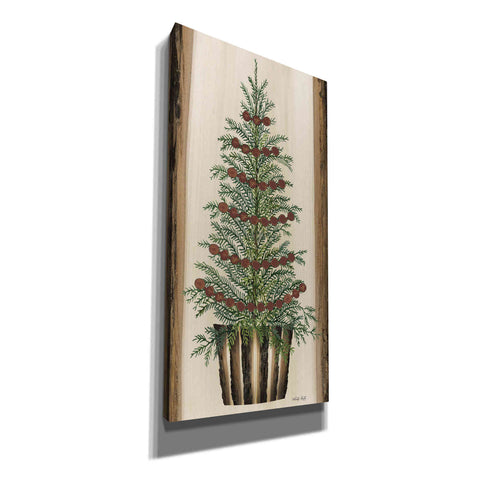 Image of 'Woodland Spruce Tree' by Cindy Jacobs, Canvas Wall Art