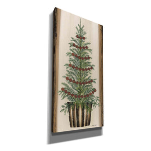 'Woodland Spruce Tree' by Cindy Jacobs, Canvas Wall Art