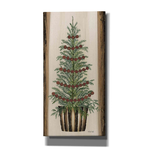 Image of 'Woodland Spruce Tree' by Cindy Jacobs, Canvas Wall Art