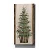 'Woodland Spruce Tree' by Cindy Jacobs, Canvas Wall Art