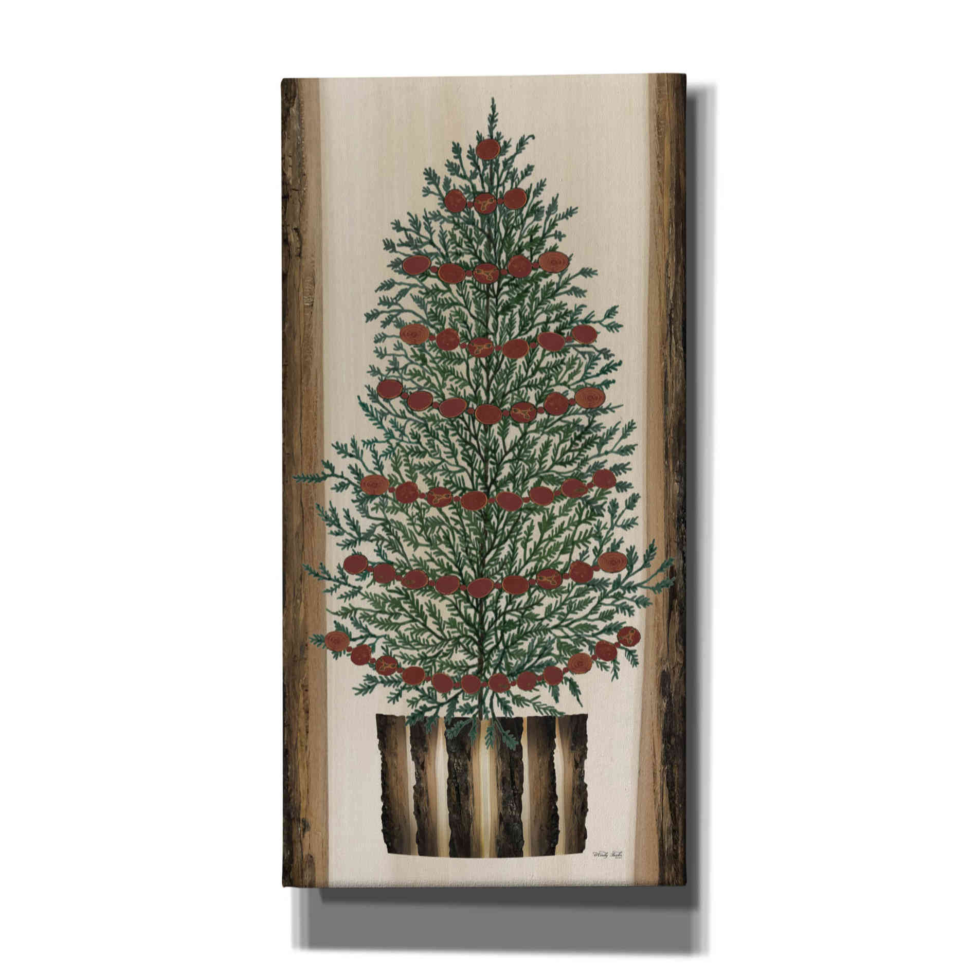 'Woodland Cedar Tree' by Cindy Jacobs, Canvas Wall Art