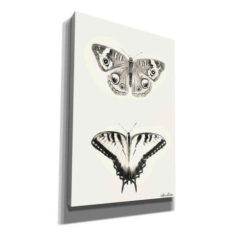 Image of 'Butterflies' by Lori Deiter, Canvas Wall Art