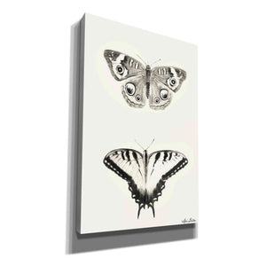 'Butterflies' by Lori Deiter, Canvas Wall Art