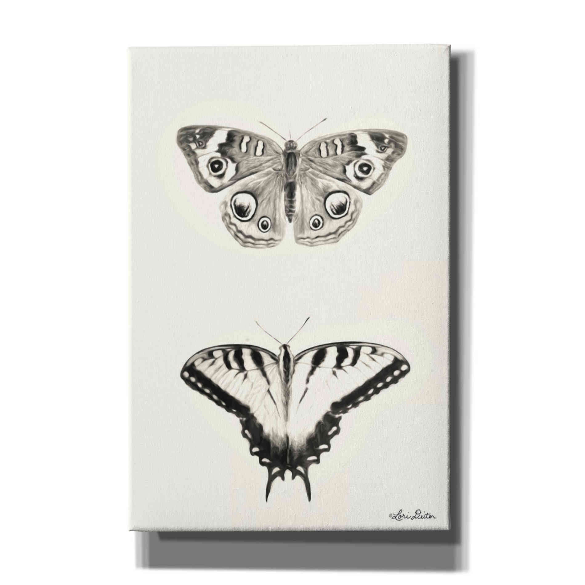 'Butterflies' by Lori Deiter, Canvas Wall Art