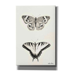 'Butterflies' by Lori Deiter, Canvas Wall Art