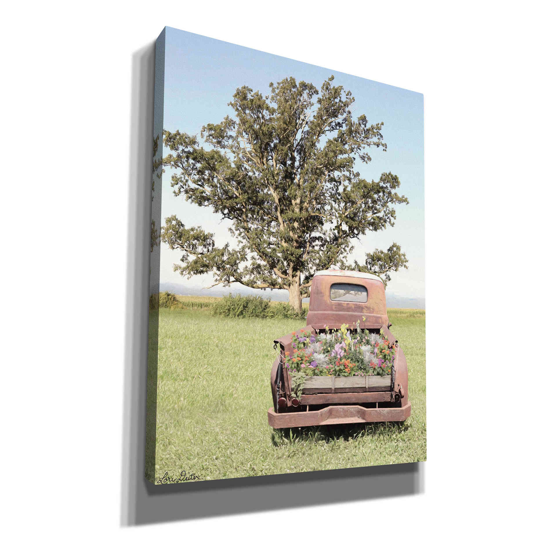'Field of Dreams' by Lori Deiter, Canvas Wall Art