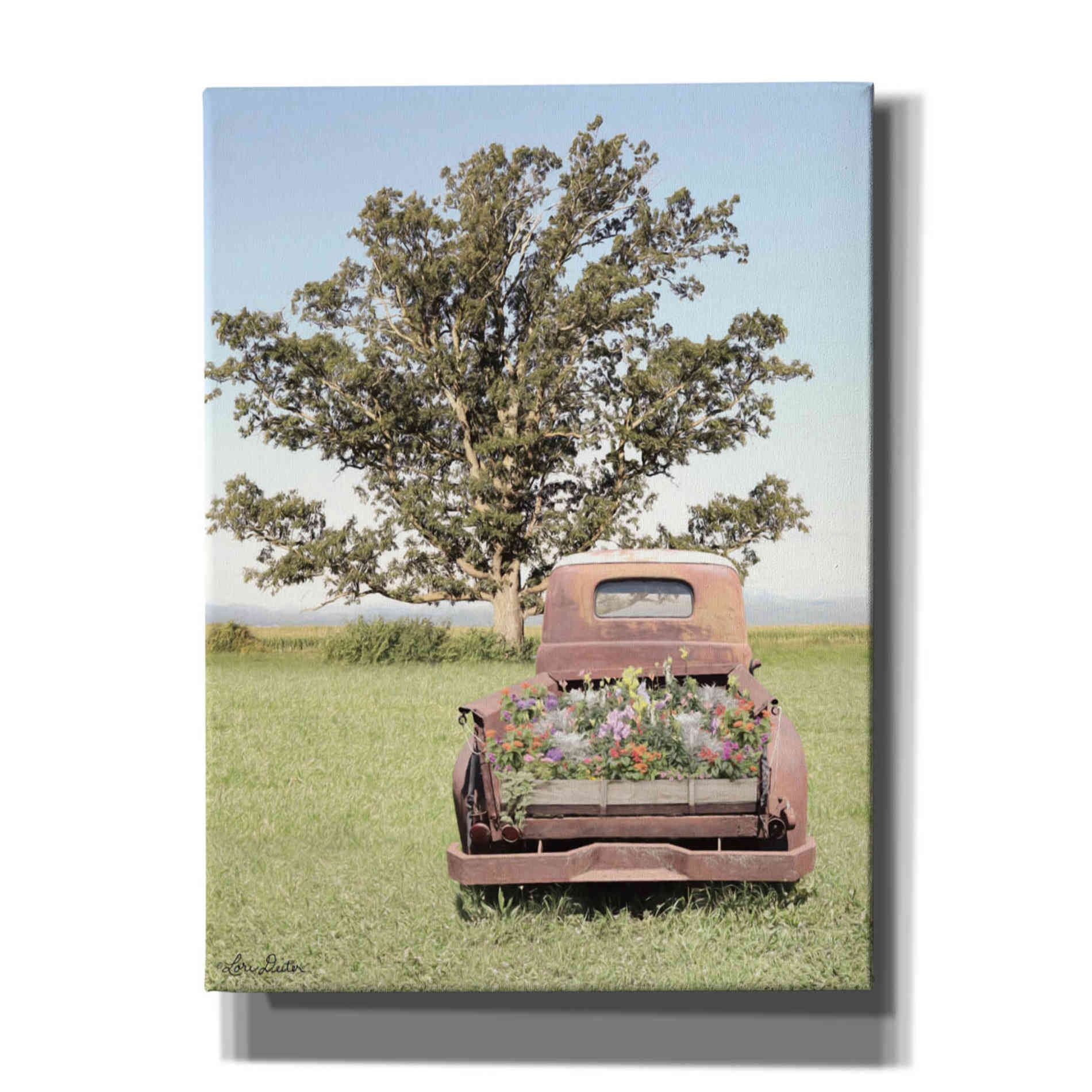 'Field of Dreams' by Lori Deiter, Canvas Wall Art