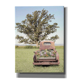 'Field of Dreams' by Lori Deiter, Canvas Wall Art